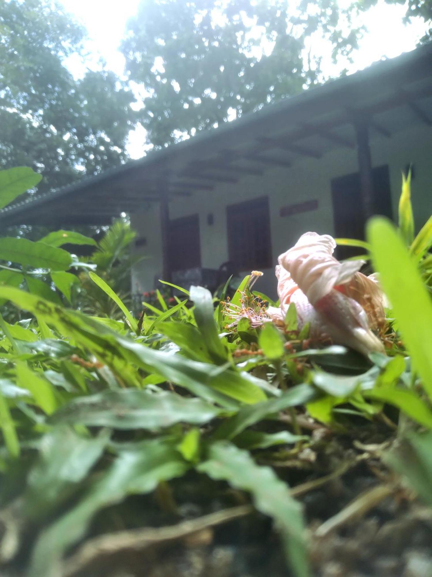 Sigiriya Hillside View Villa Exterior foto